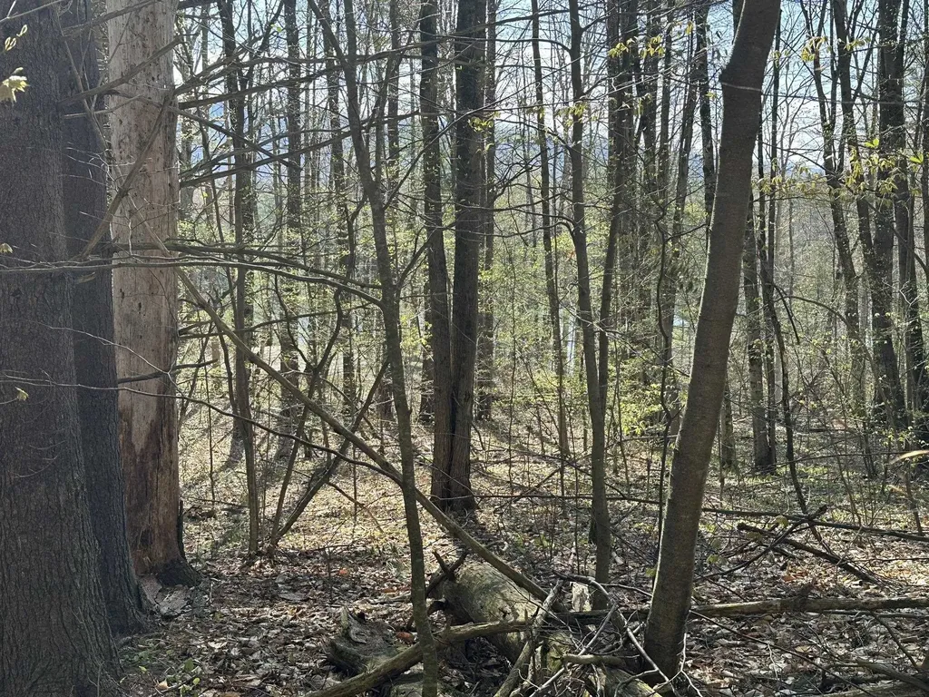 0 Fern Lake Road Leicester VT 05733