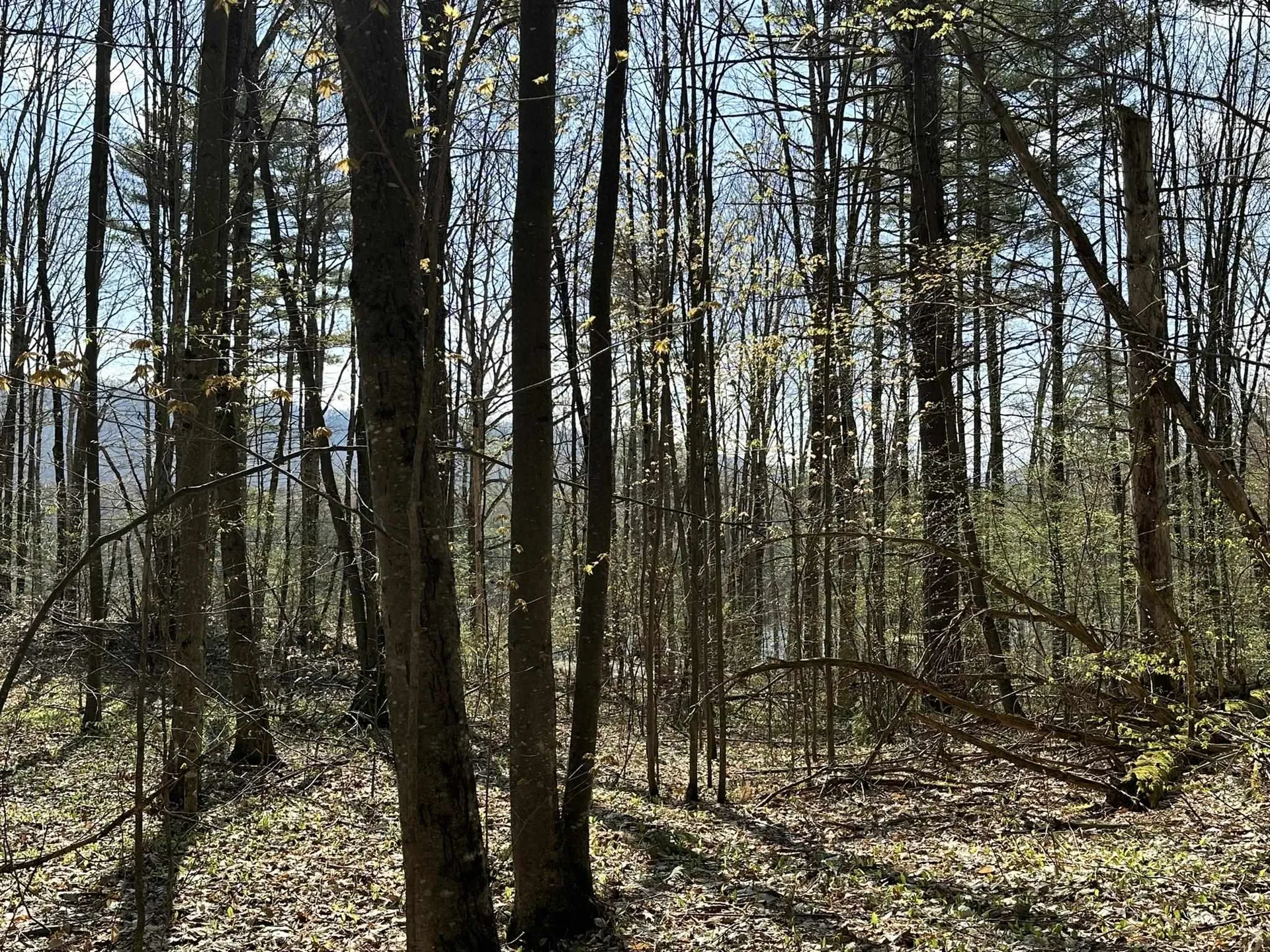 0 Fern Lake Road Leicester VT 05733
