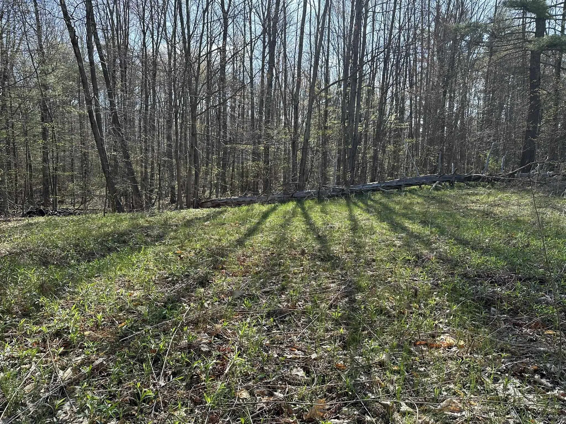 0 Fern Lake Road Leicester VT 05733