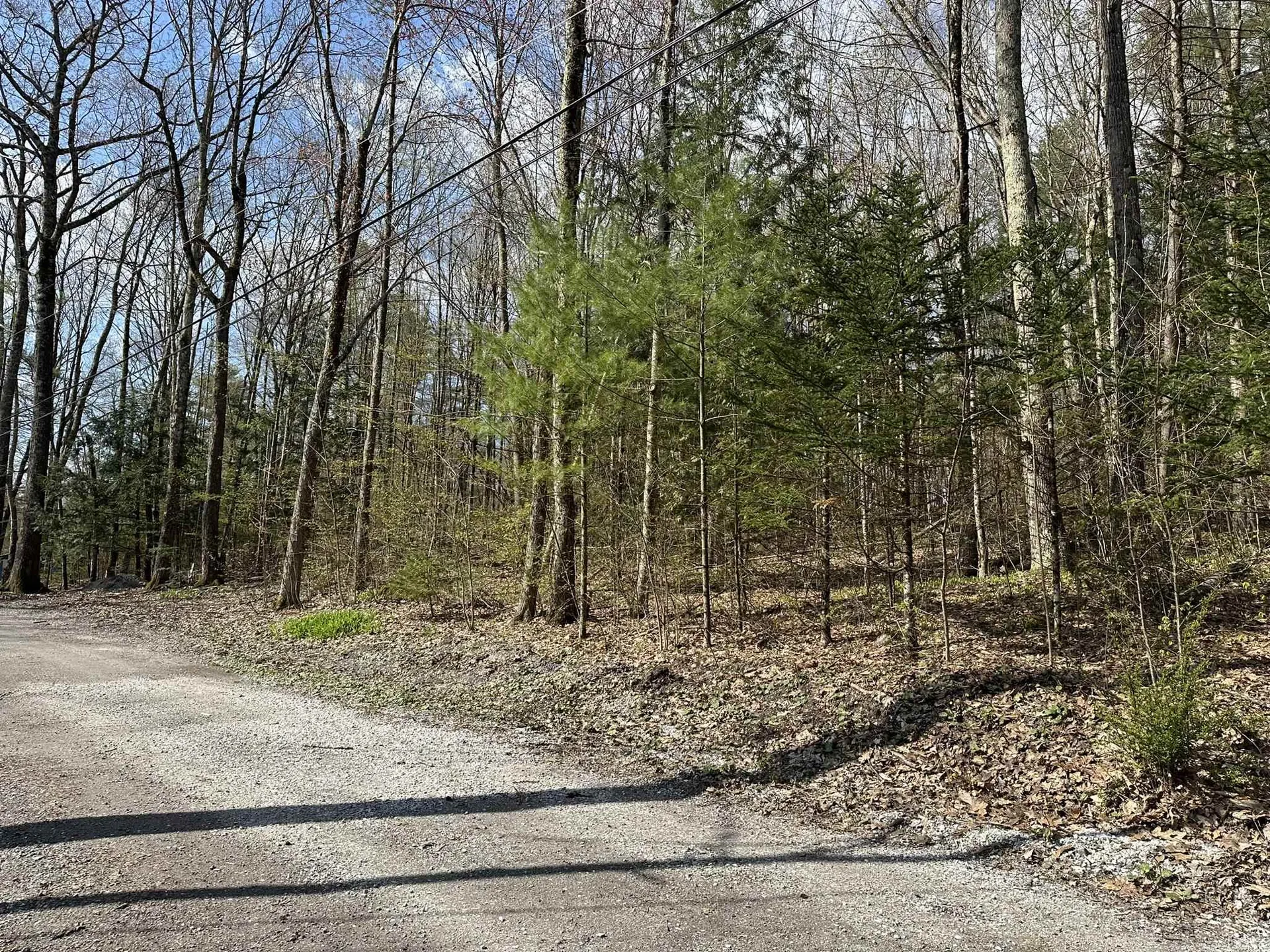 0 Fern Lake Road Leicester VT 05733