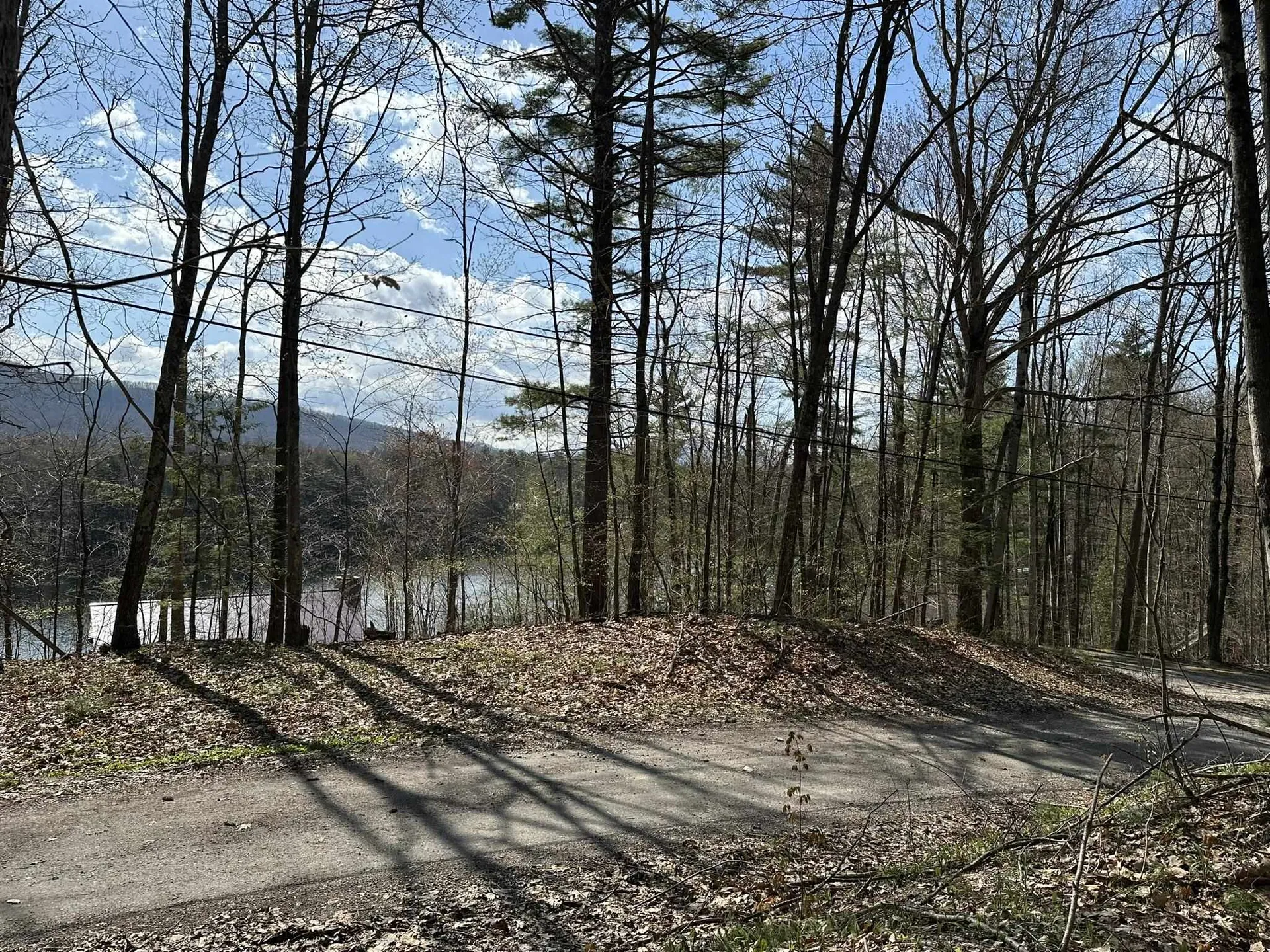 0 Fern Lake Road Leicester VT 05733