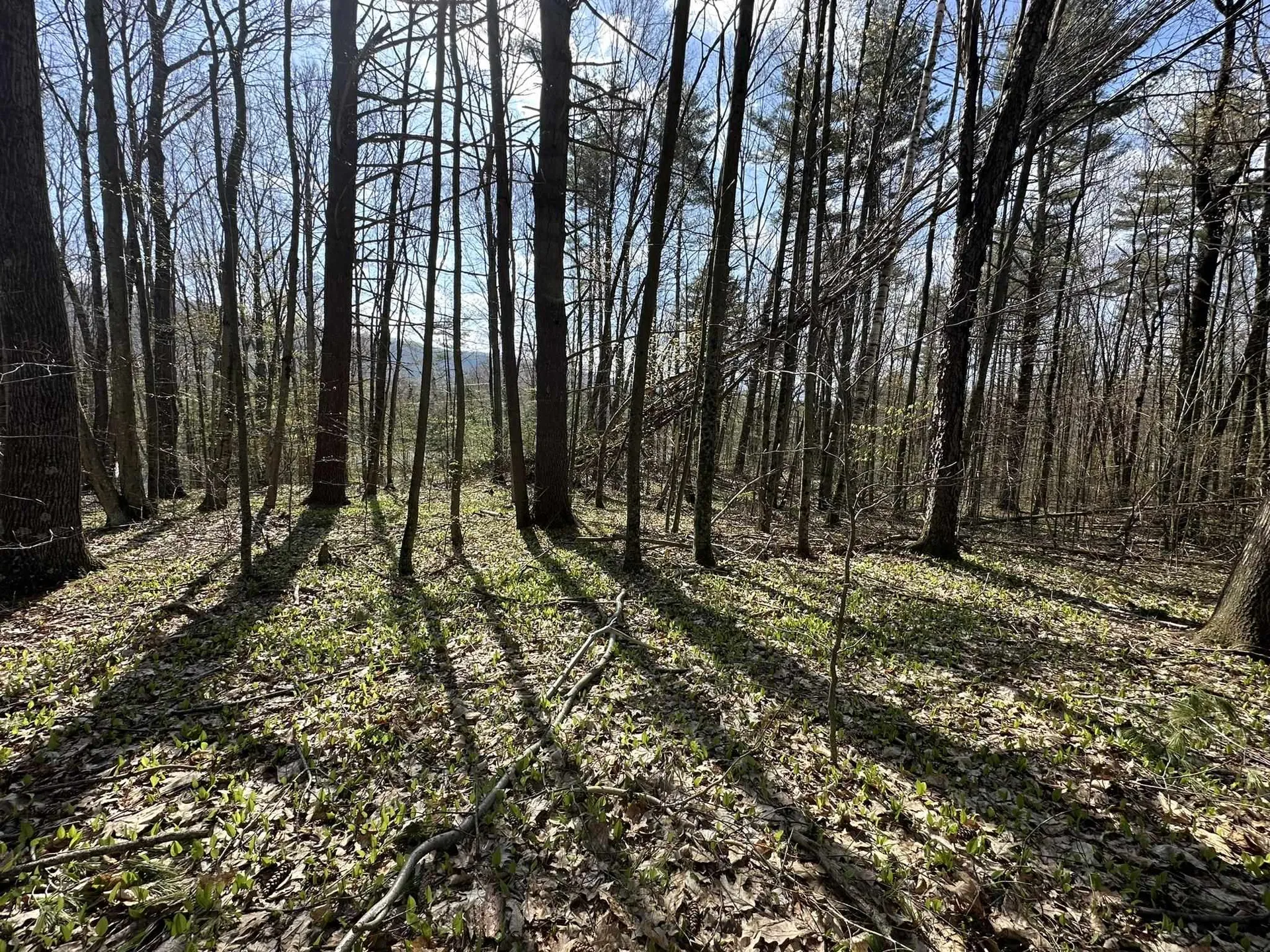 0 Fern Lake Road Leicester VT 05733