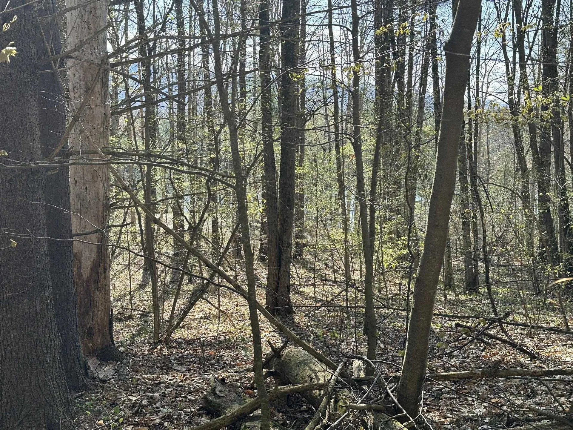 0 Fern Lake Road Leicester VT 05733