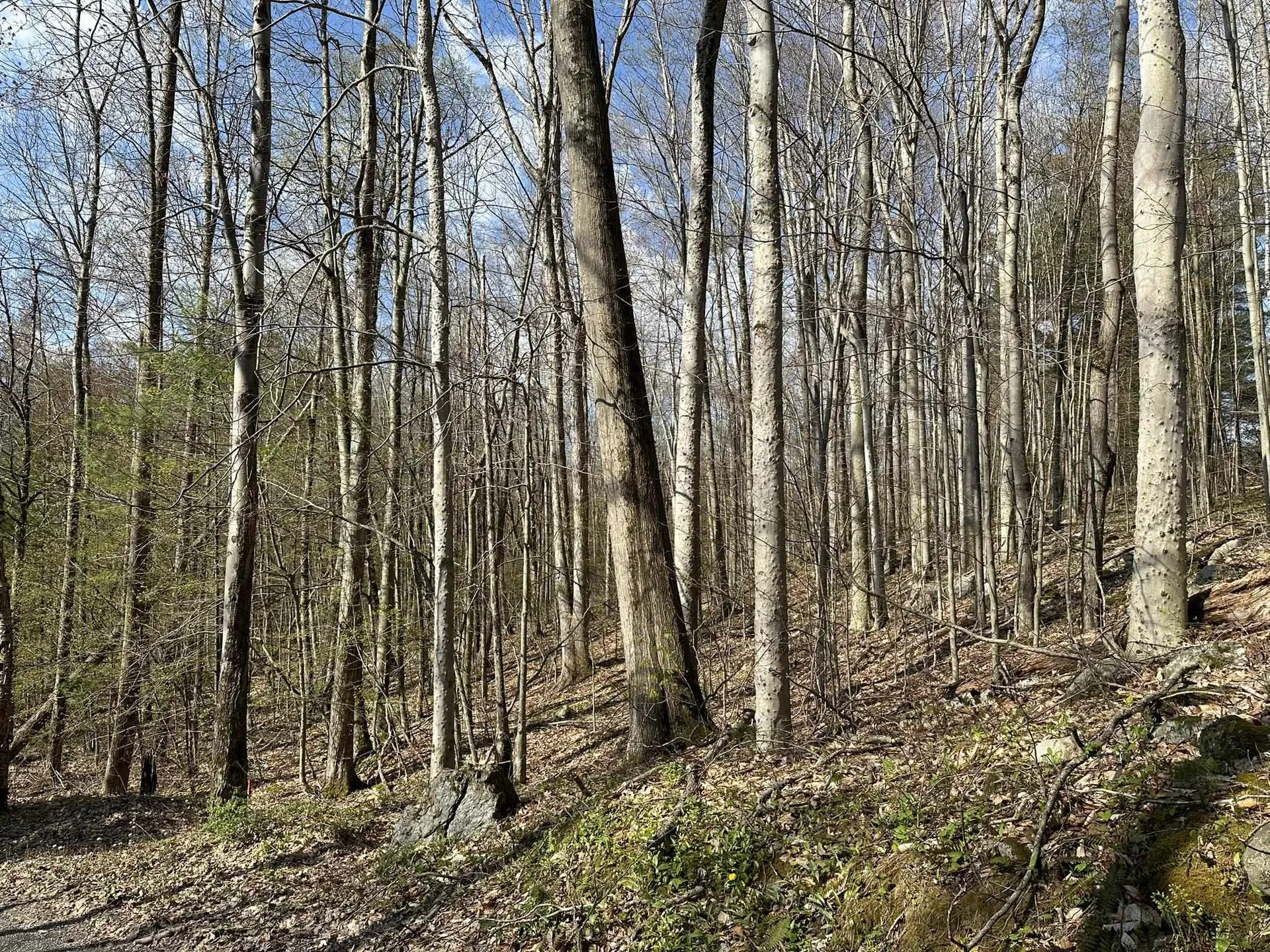 0 Fern Lake Road Leicester VT 05733