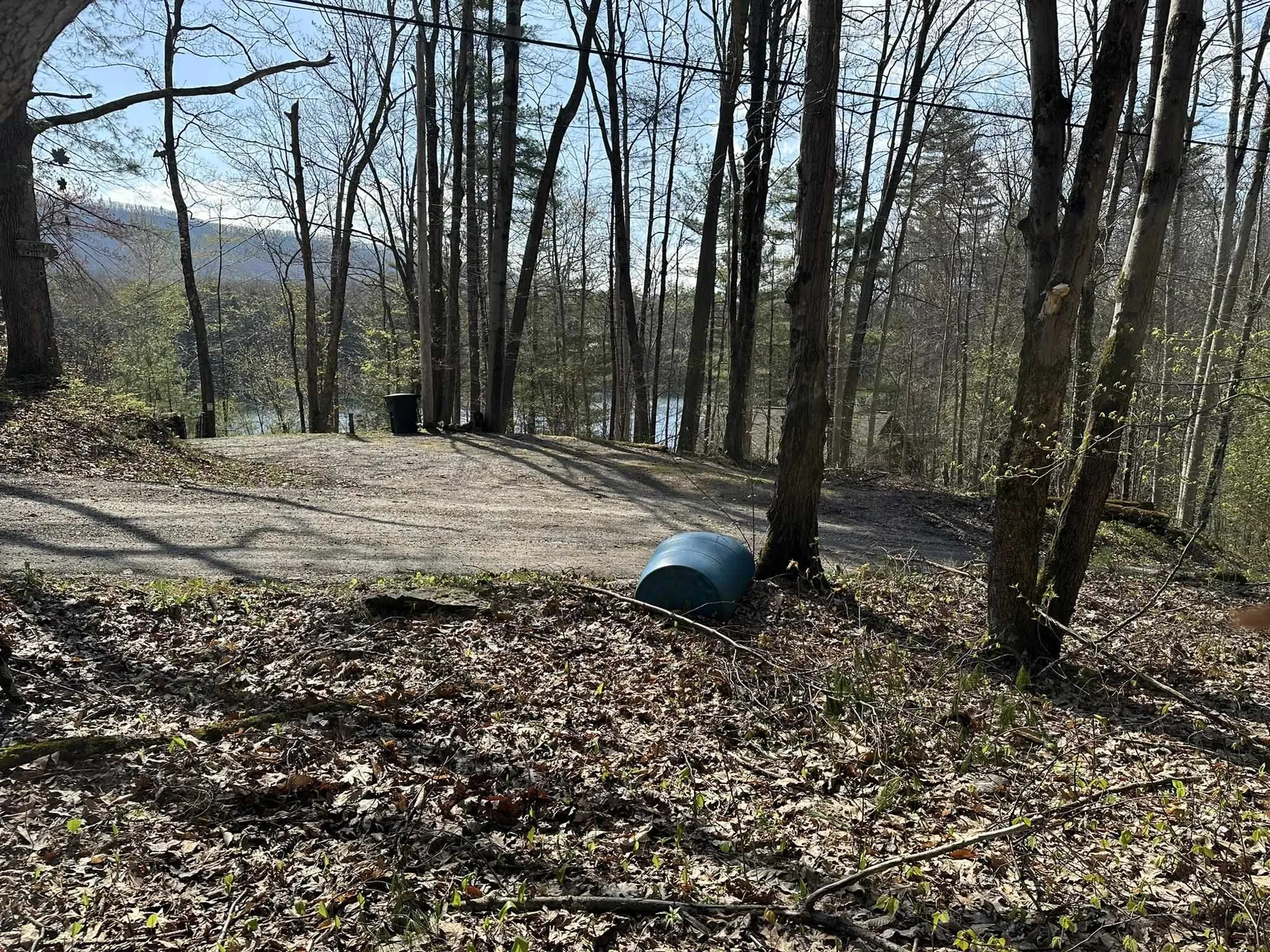 0 Fern Lake Road Leicester VT 05733