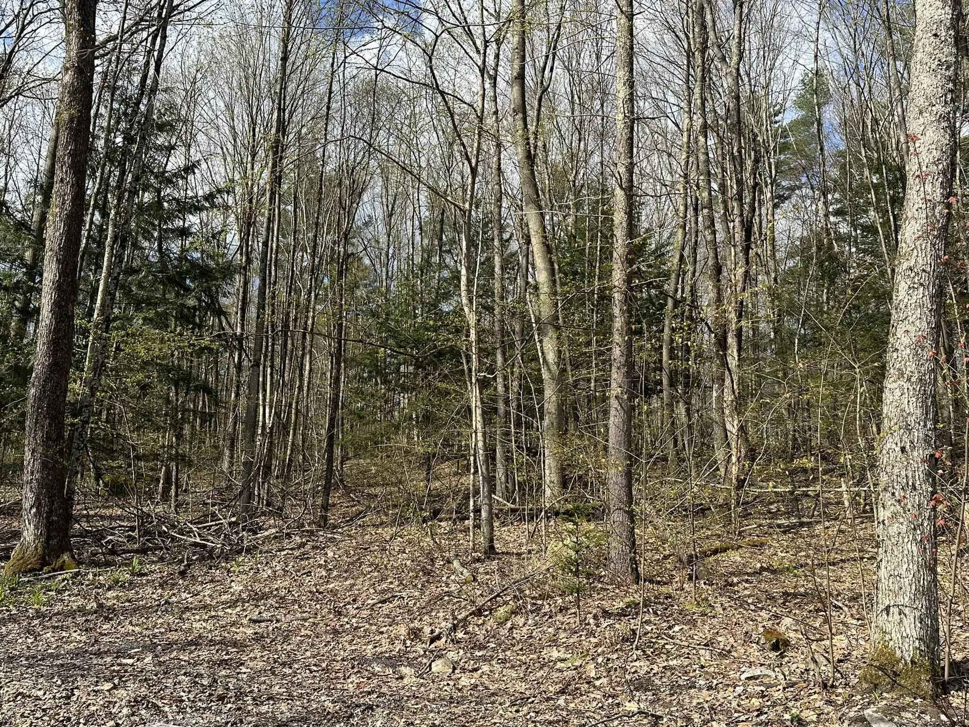 0 Fern Lake Road Leicester VT 05733