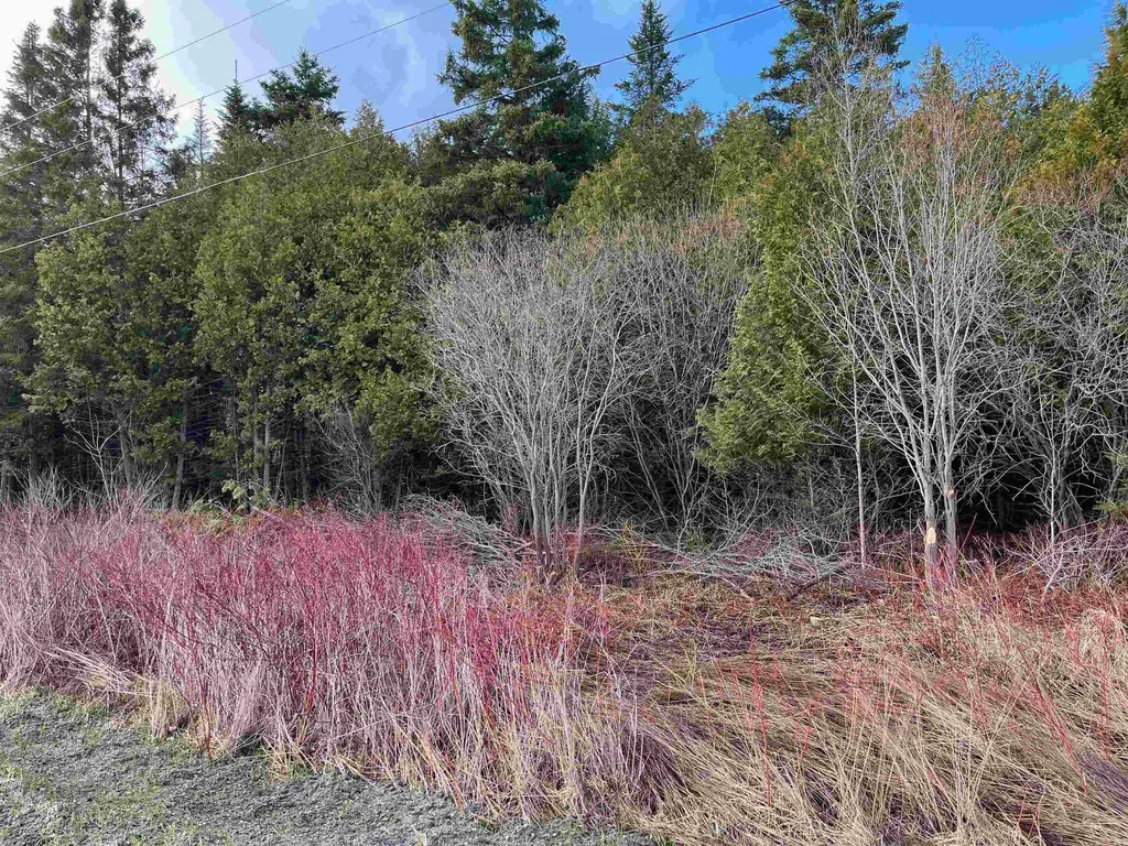 1401 Schoolhouse Road Brownington VT 05860