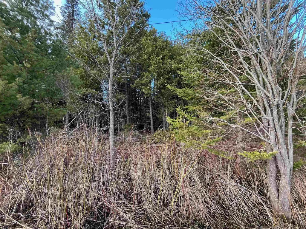 1401 Schoolhouse Road Brownington VT 05860