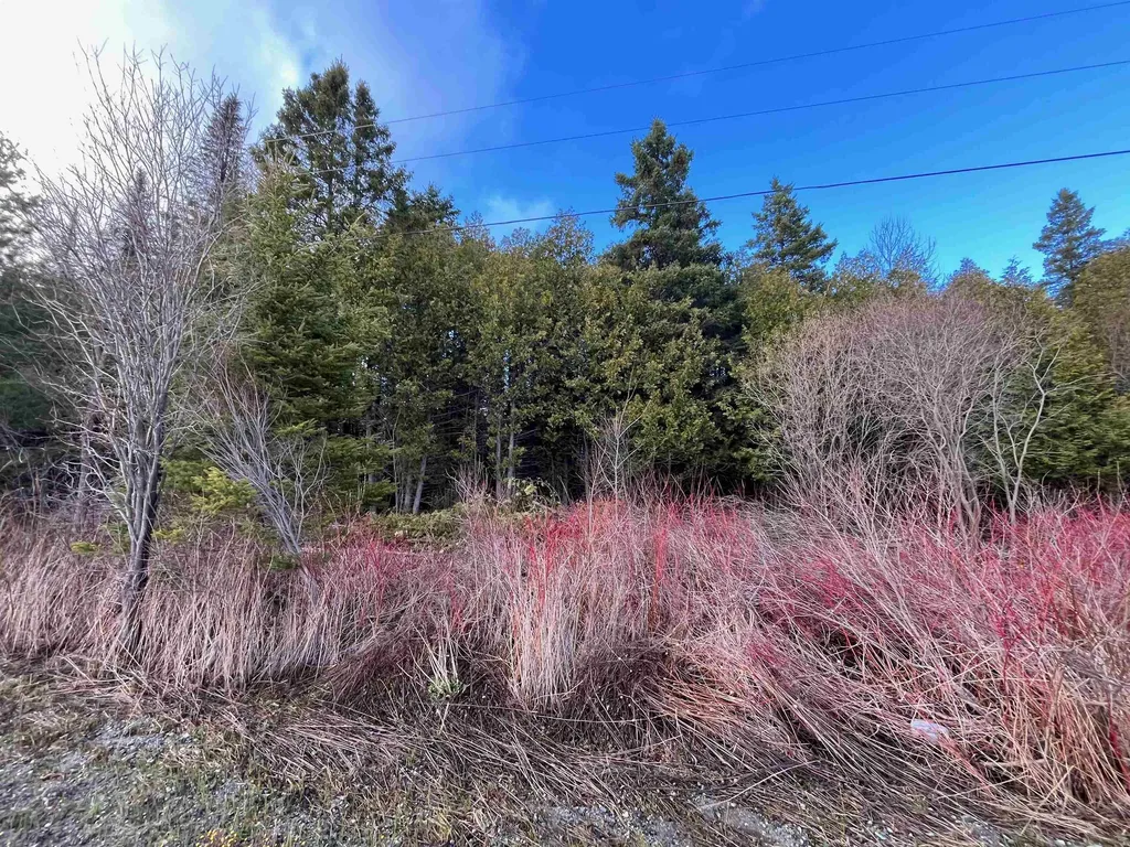 1401 Schoolhouse Road Brownington VT 05860