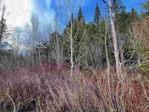 1401 Schoolhouse Road Brownington VT 05860