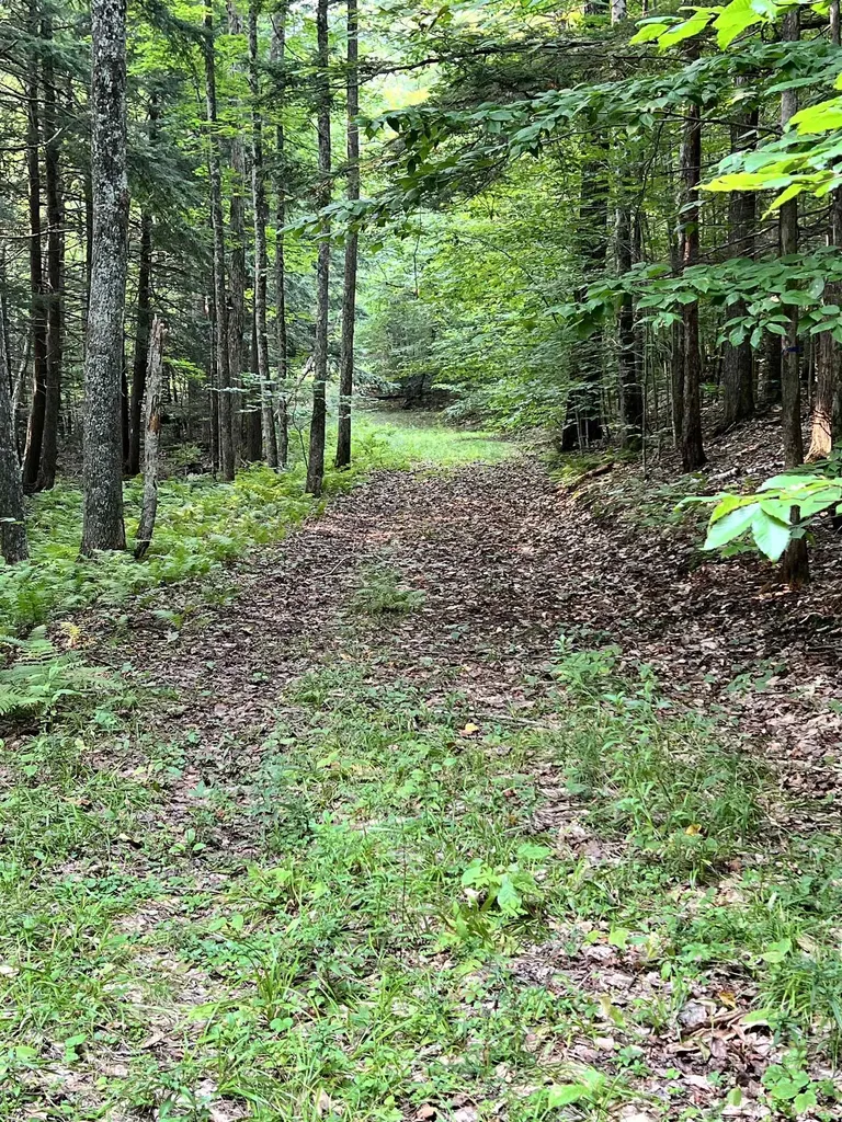 279 Round House Road Corinth VT 05039