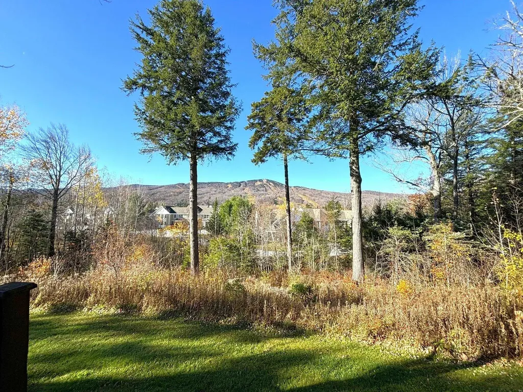 28C Greenspring Road Dover VT 05356