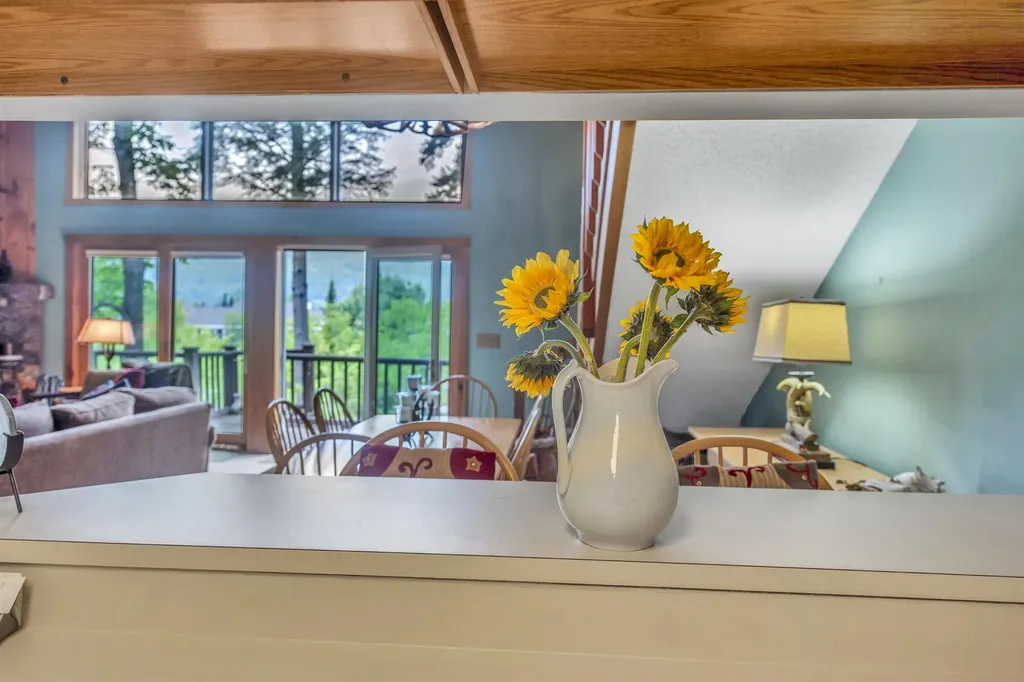 28C Greenspring Road Dover VT 05356