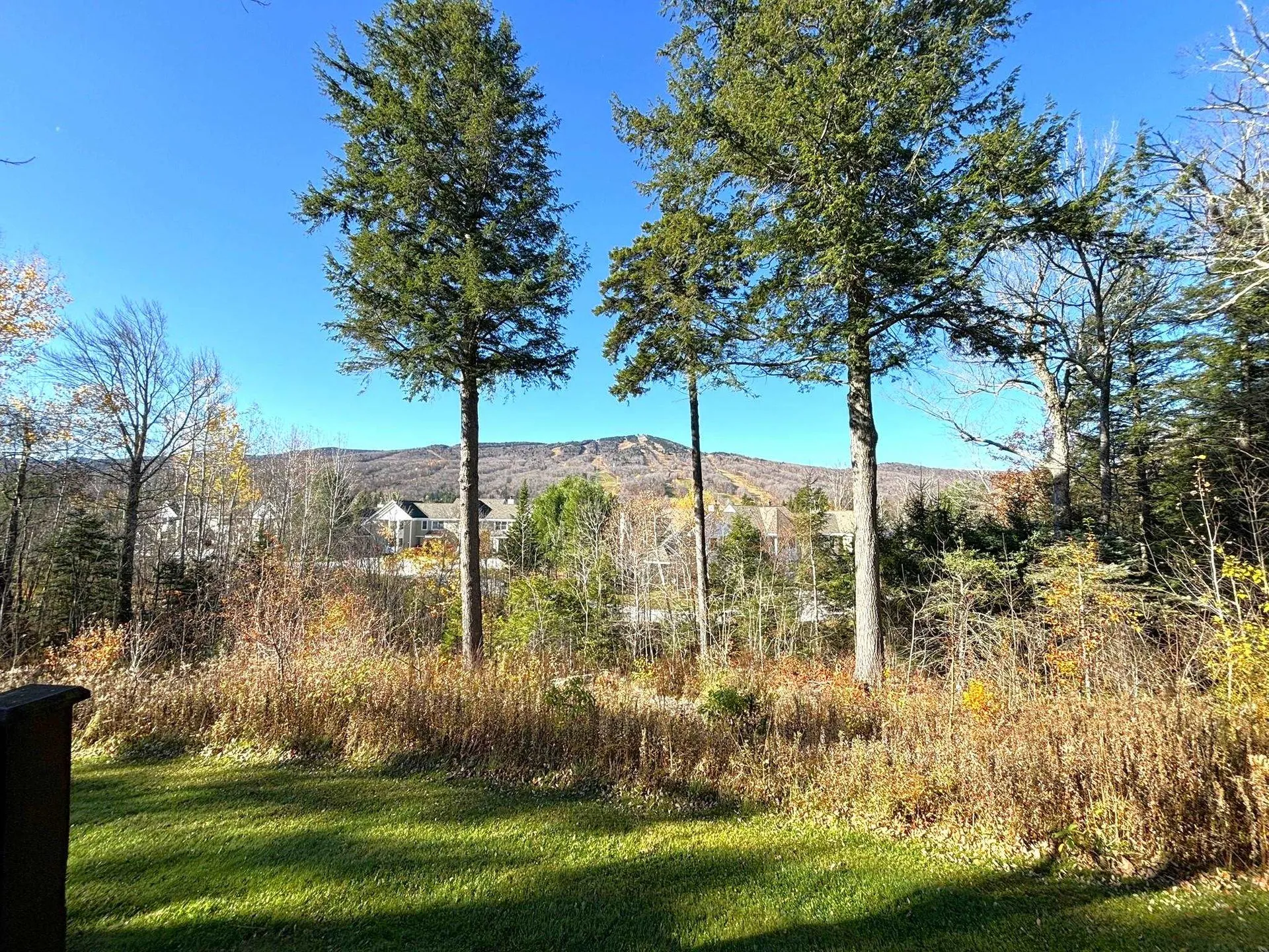 28C Greenspring Road Dover VT 05356