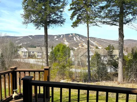 28C Greenspring Road Dover VT 05356