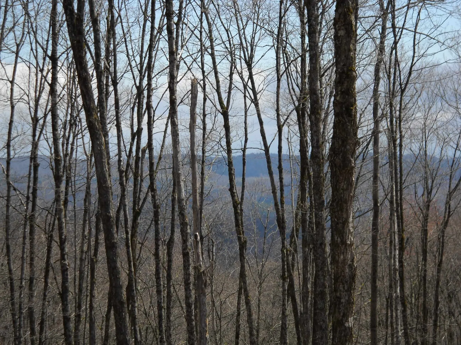 00 Peterson Road Topsham VT 05086