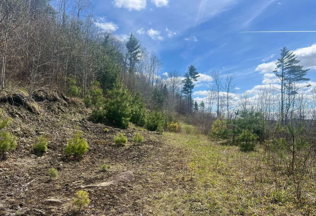 00 Memorial Drive Lyndon VT 05851