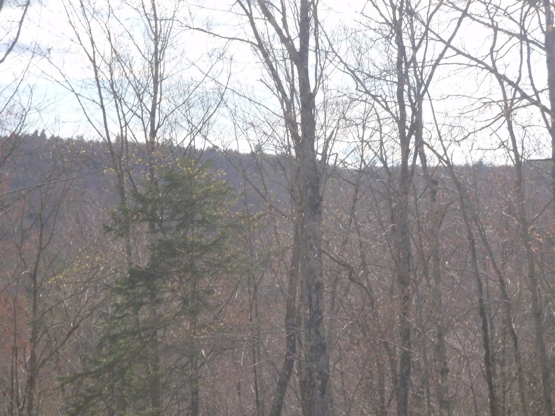 167 Gore Road Canaan NH 03741