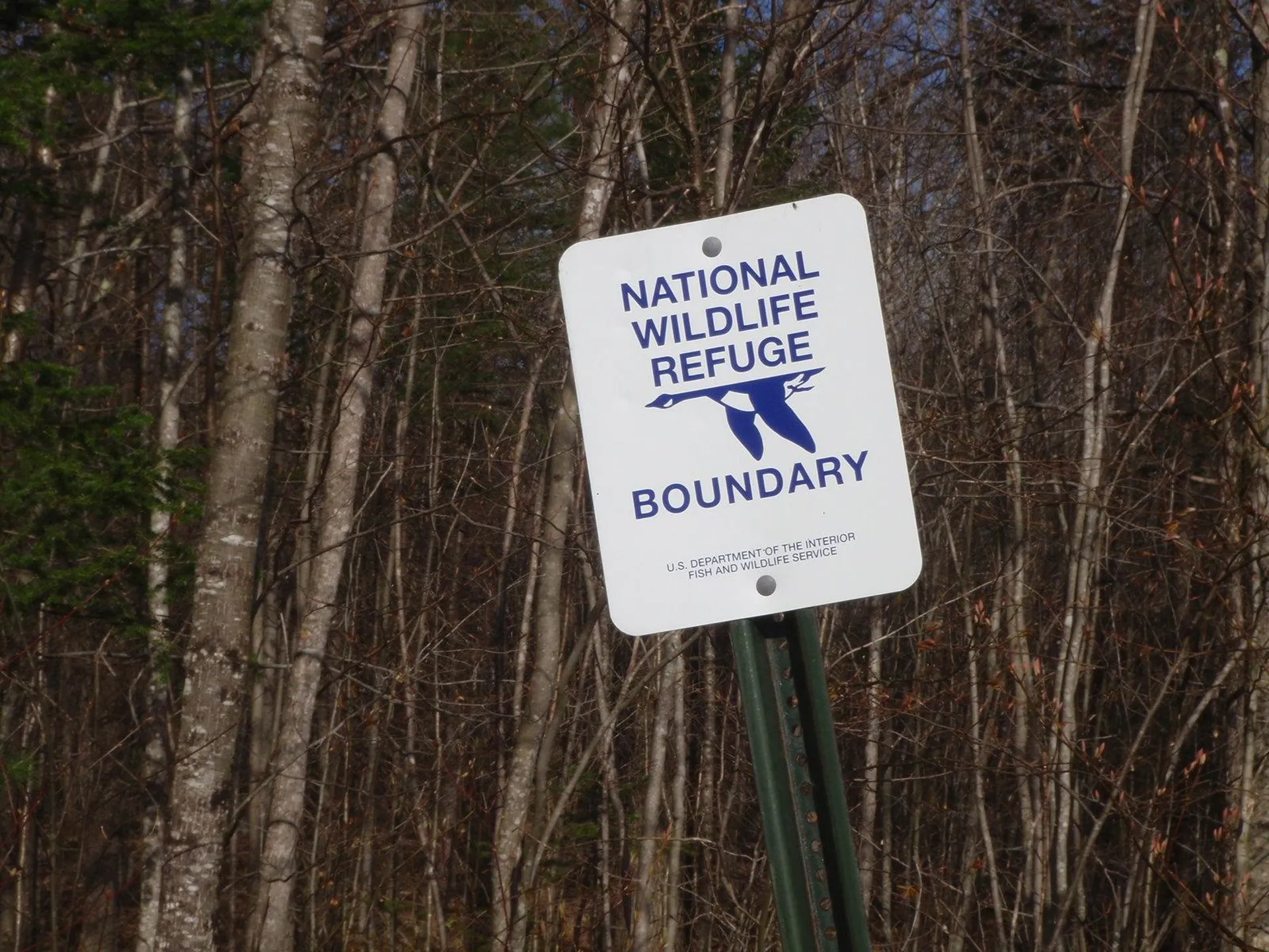 167 Gore Road Canaan NH 03741
