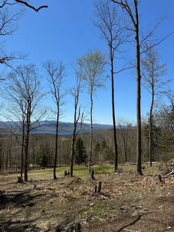 0 Talcott Road Bridgewater NH 03222