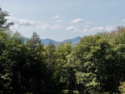 500a Ayers Farm Road Stowe VT 05672
