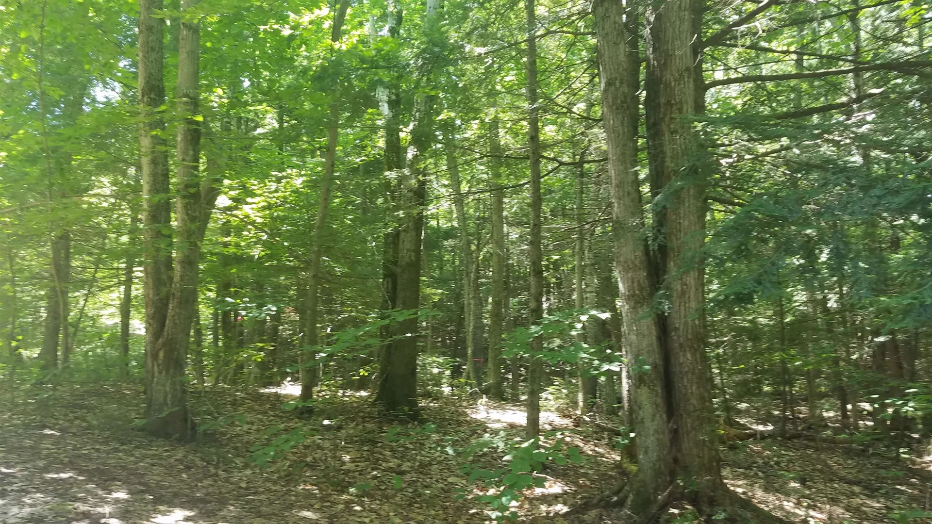 95 Landsdown Lane Conway NH 03818