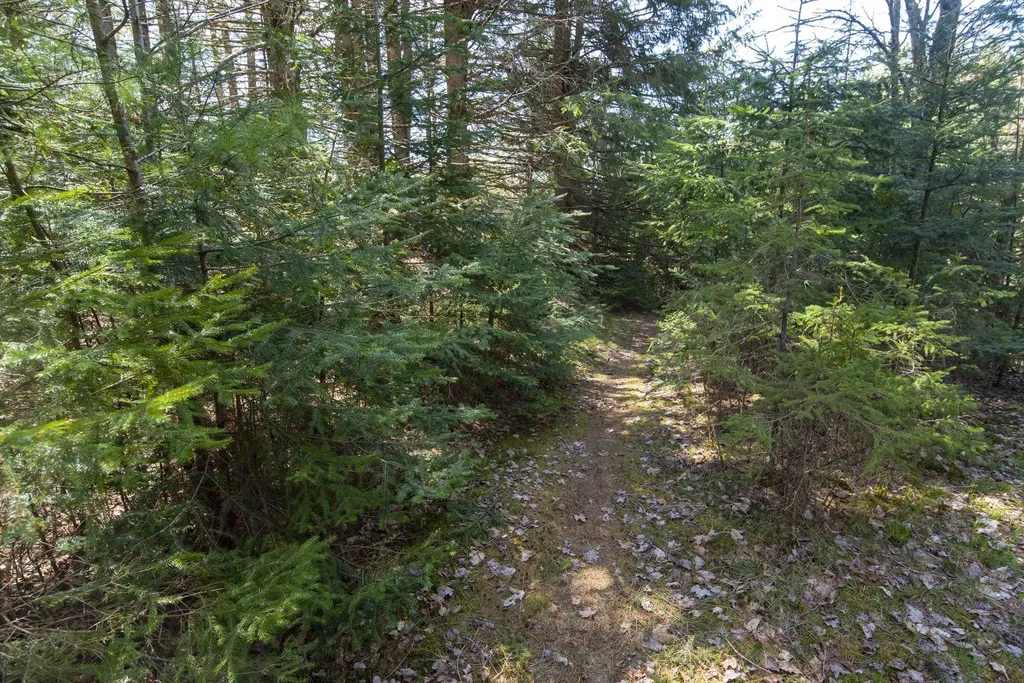 4614 Brook Road Plainfield VT 05667