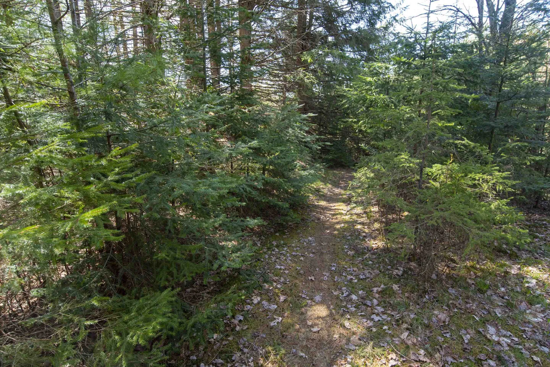 4614 Brook Road Plainfield VT 05667