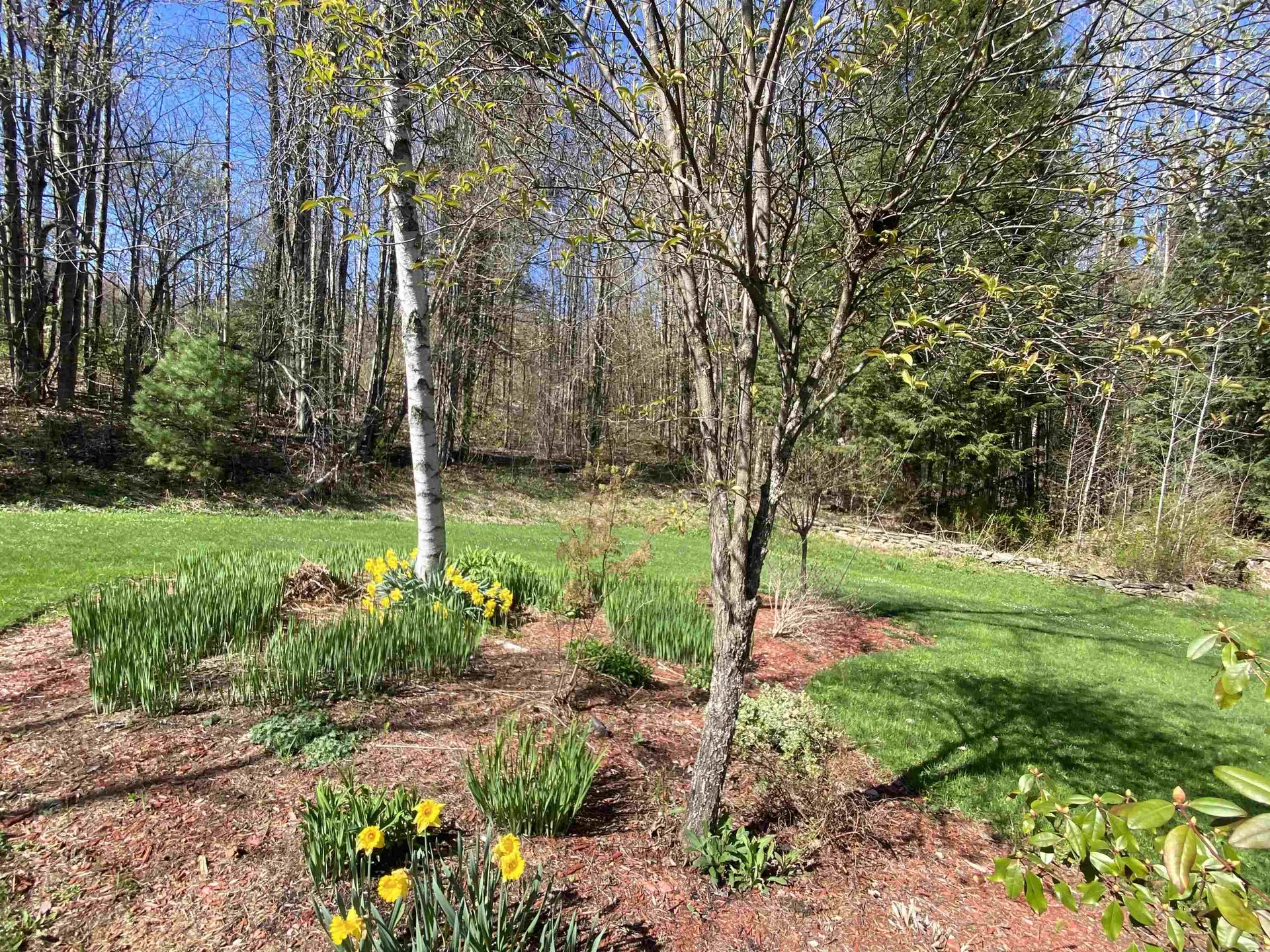 1288 West Hill Road Wolcott VT 05680