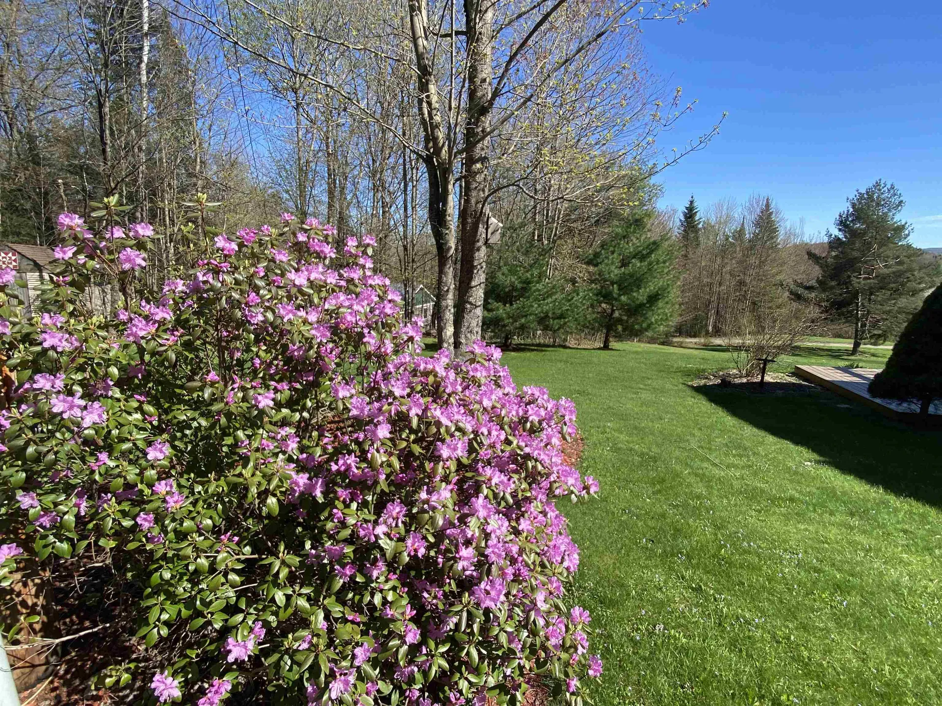 1288 West Hill Road Wolcott VT 05680