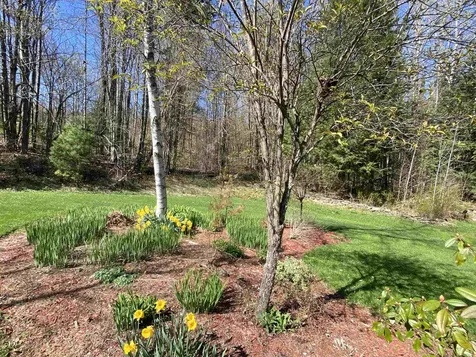 1288 West Hill Road Wolcott VT 05680