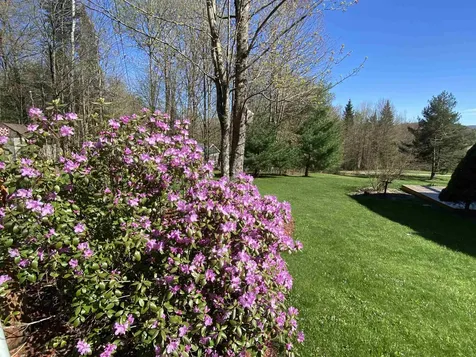 1288 West Hill Road Wolcott VT 05680