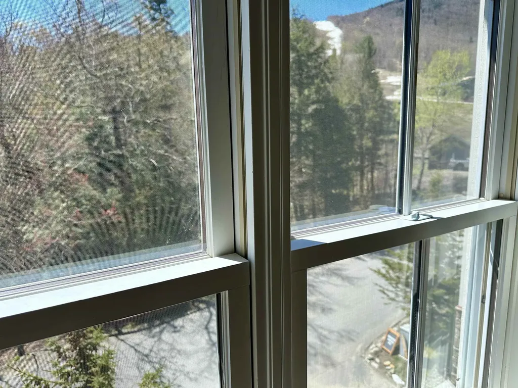 102 Forest 210 / Iii Drive Warren VT 05674