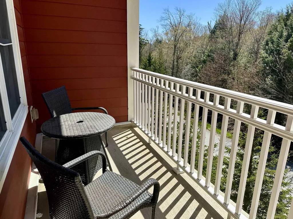 102 Forest 210 / Iii Drive Warren VT 05674
