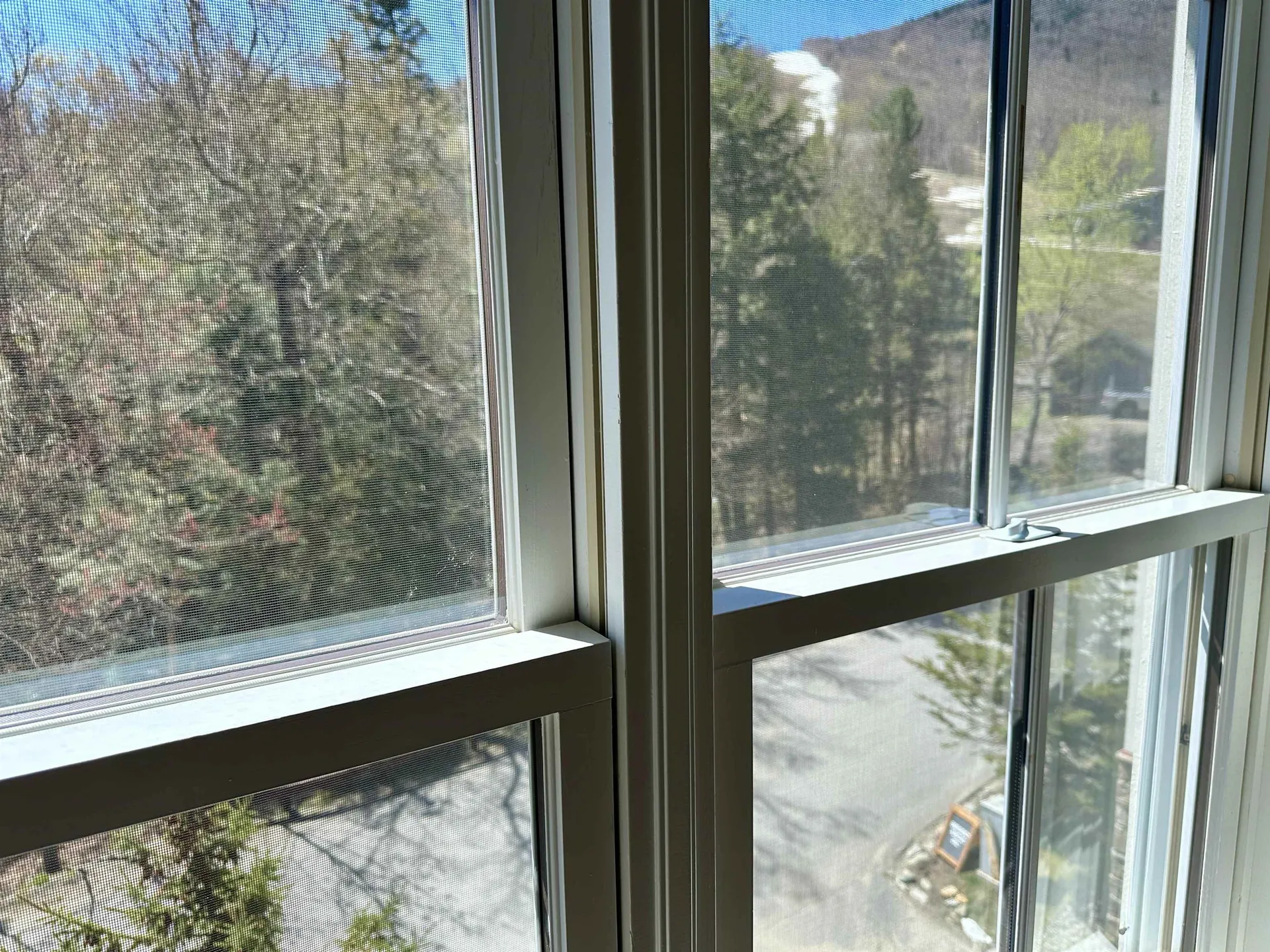 102 Forest 210 / Iii Drive Warren VT 05674