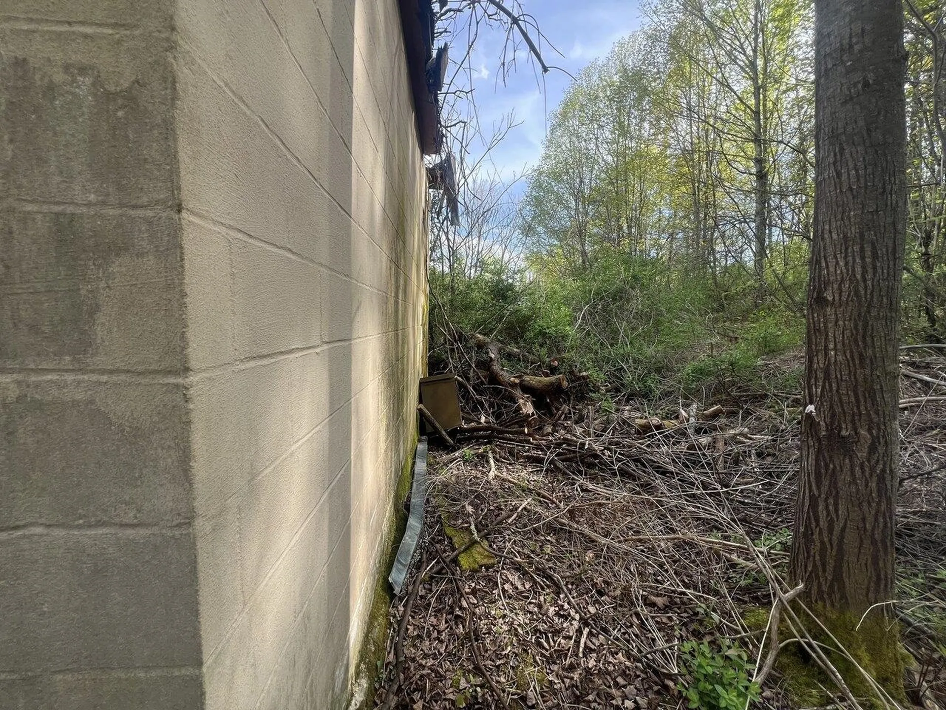 Tbd Delorm Road Leicester VT 05733