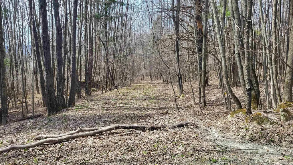 3071 Braintree Hill Road Braintree VT 05060