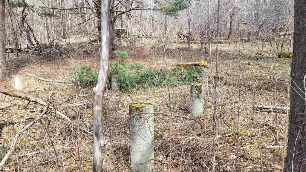 3071 Braintree Hill Road Braintree VT 05060