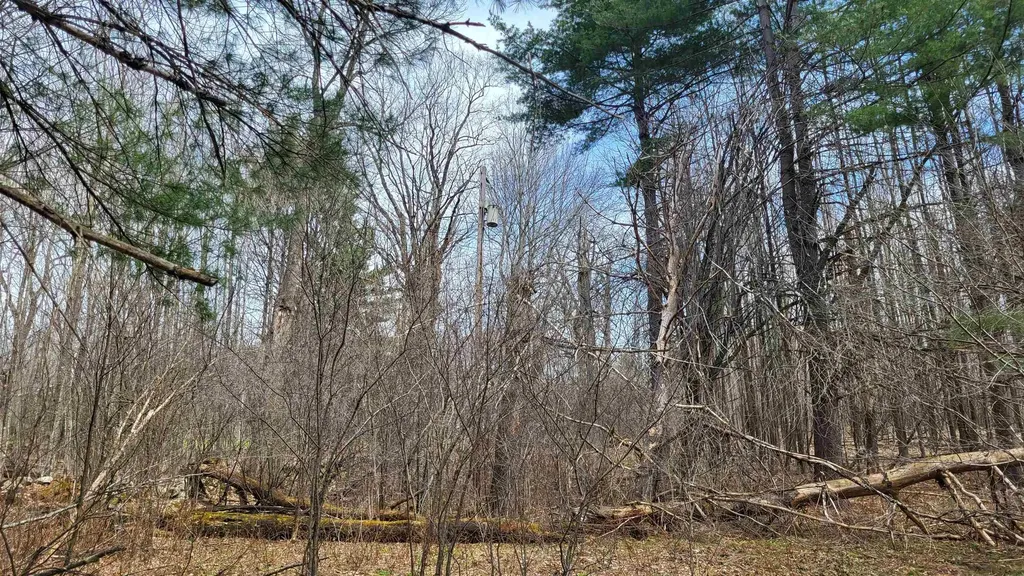 3071 Braintree Hill Road Braintree VT 05060