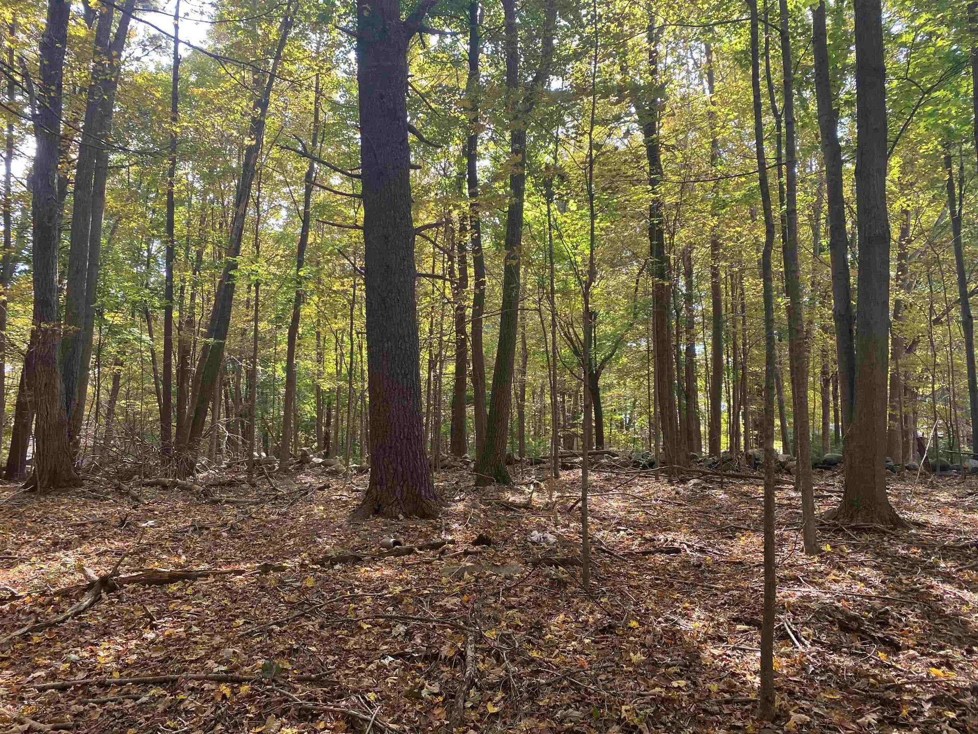 550 Sagamore Avenue Portsmouth NH 03801