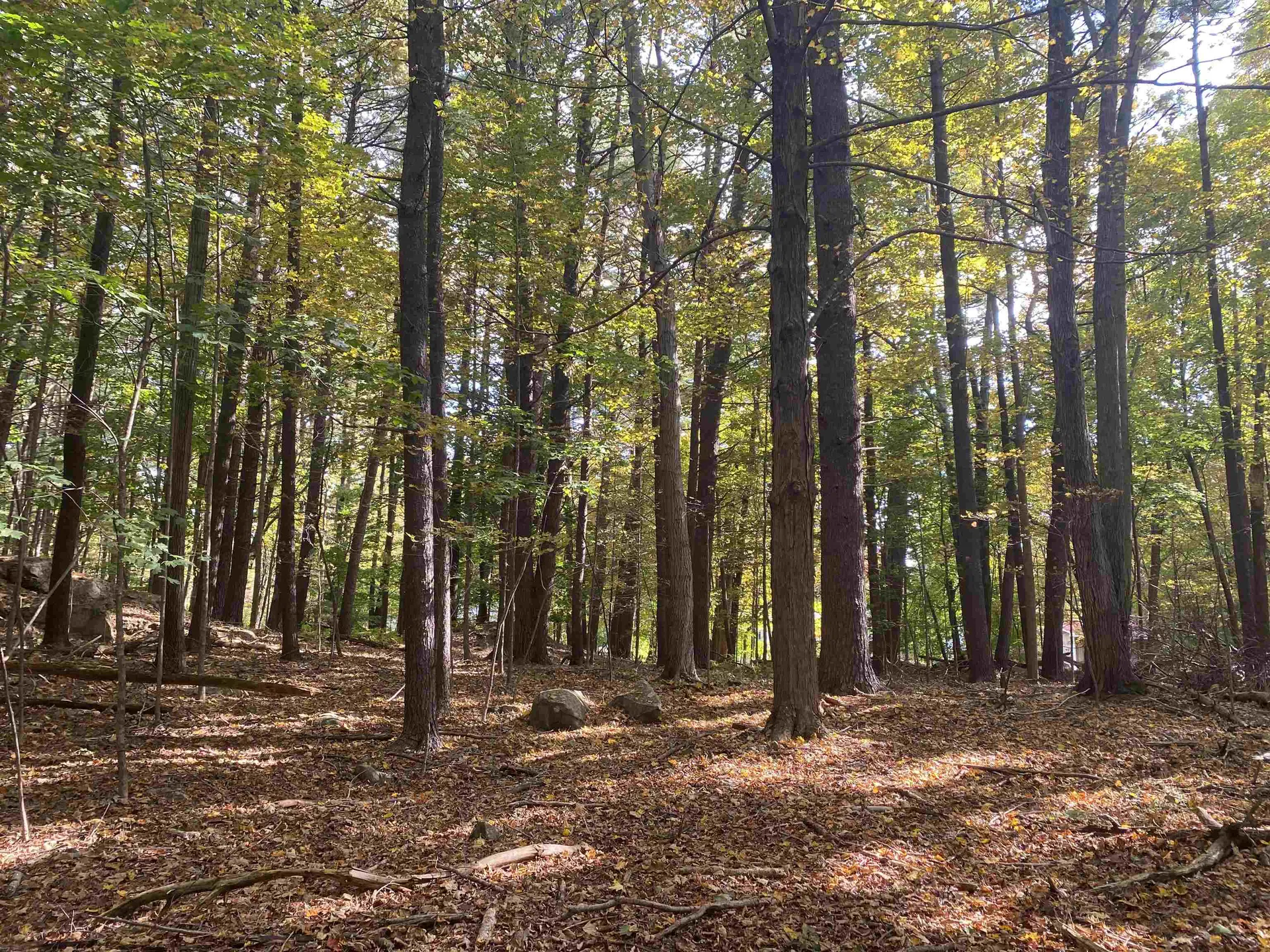 550 Sagamore Avenue Portsmouth NH 03801