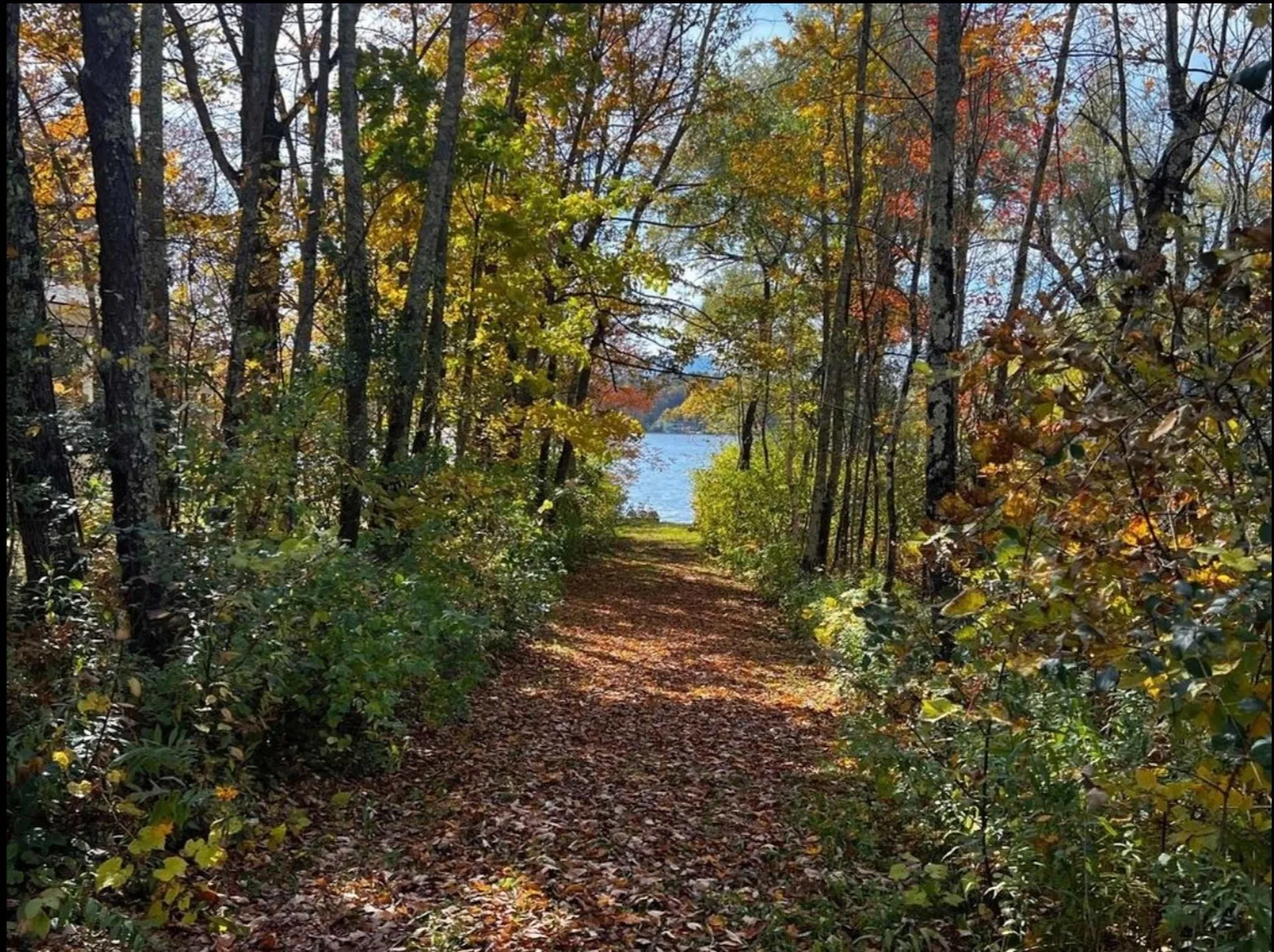 91 White Birch Drive Tinmouth VT 05773