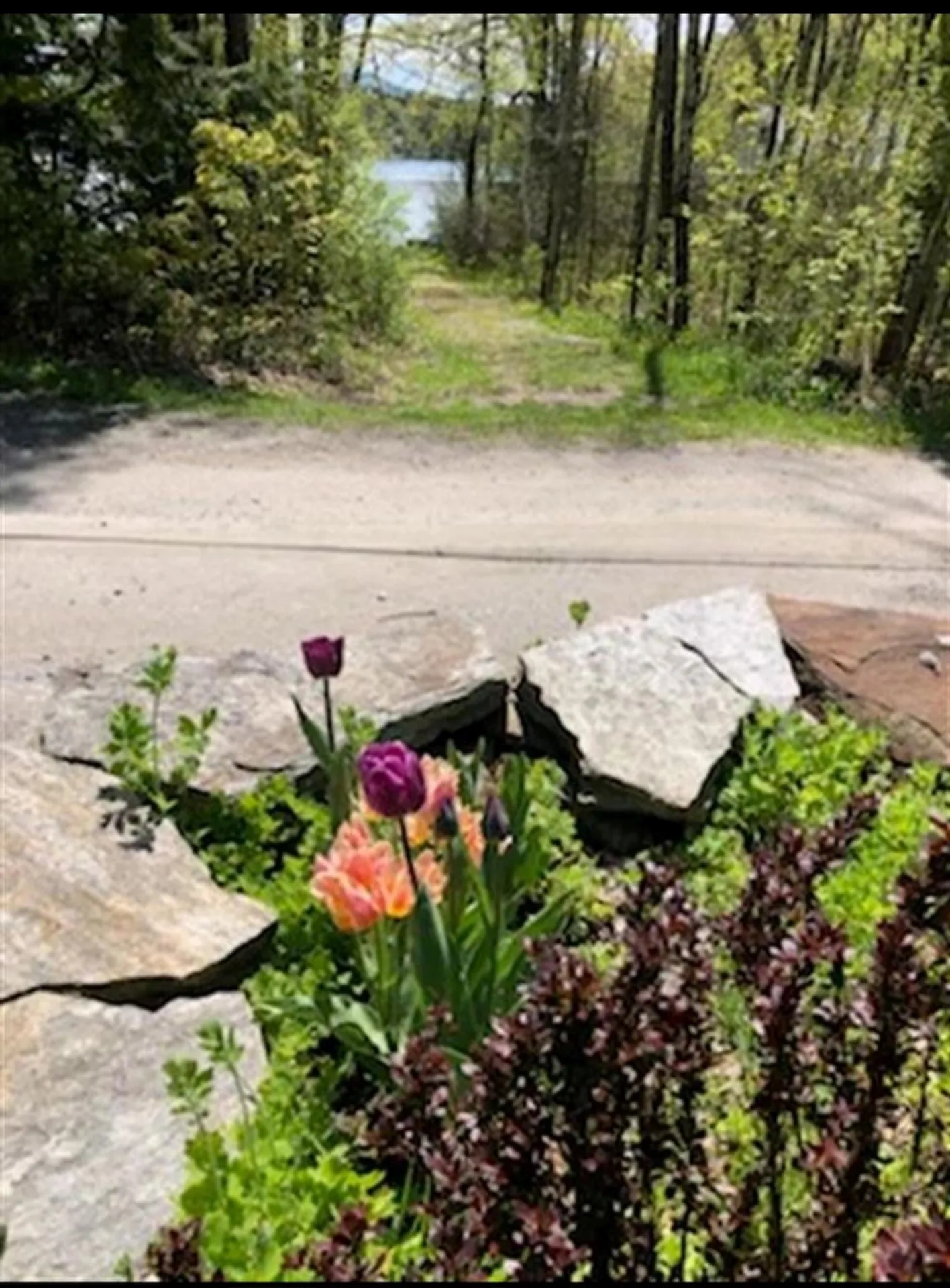 91 White Birch Drive Tinmouth VT 05773