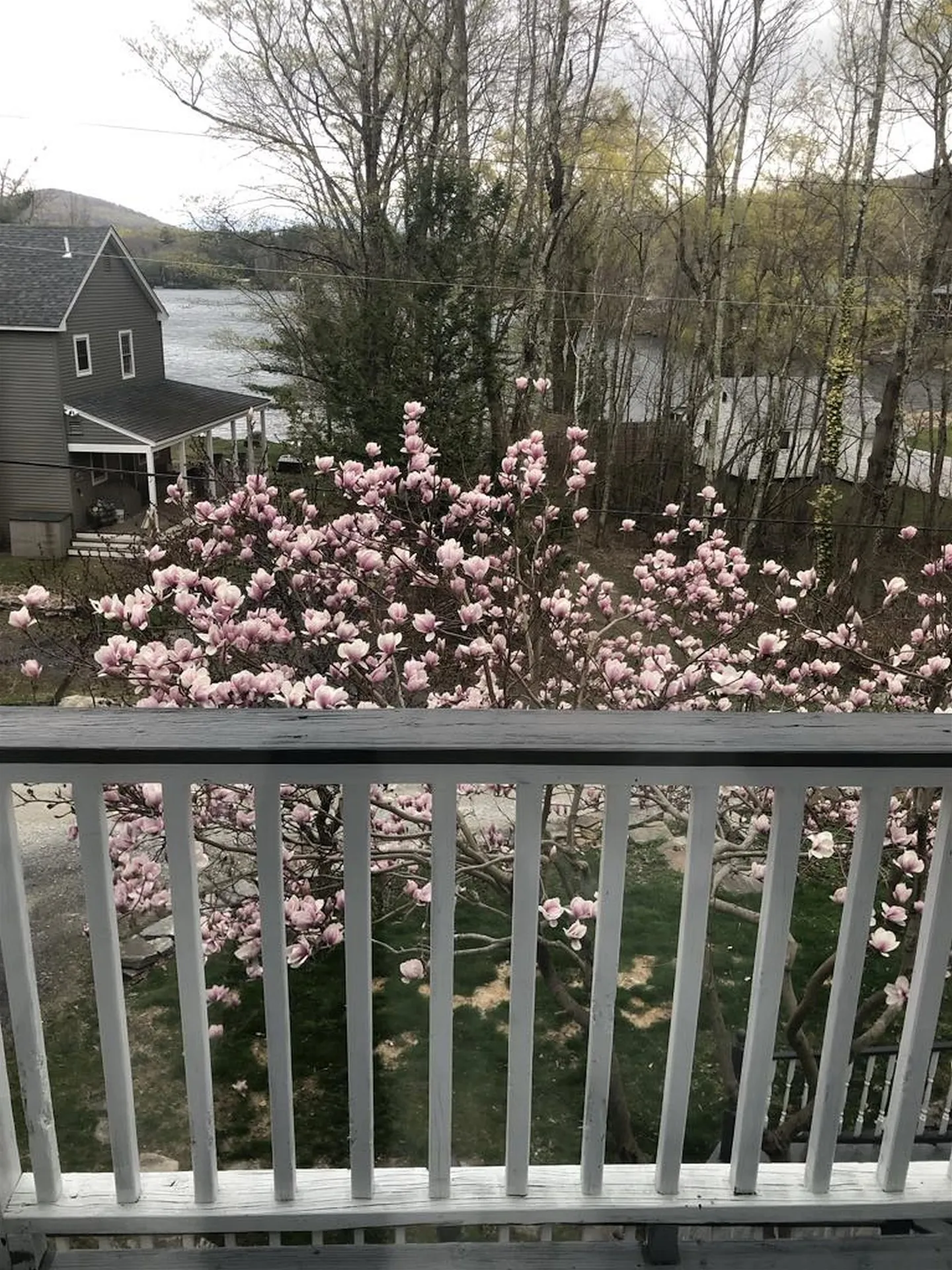 91 White Birch Drive Tinmouth VT 05773