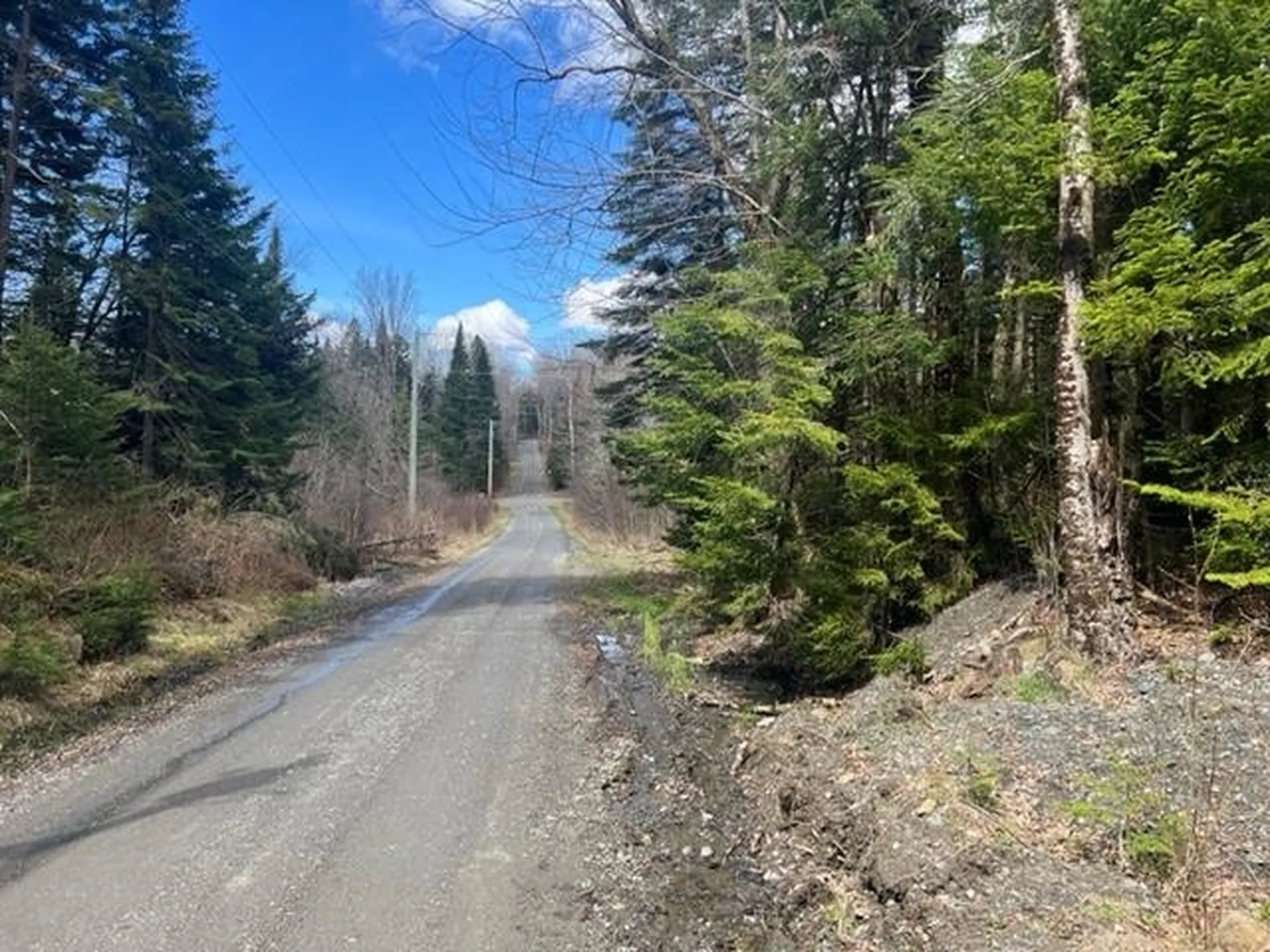 A5-49 Town Line Road Stewartstown NH 03576