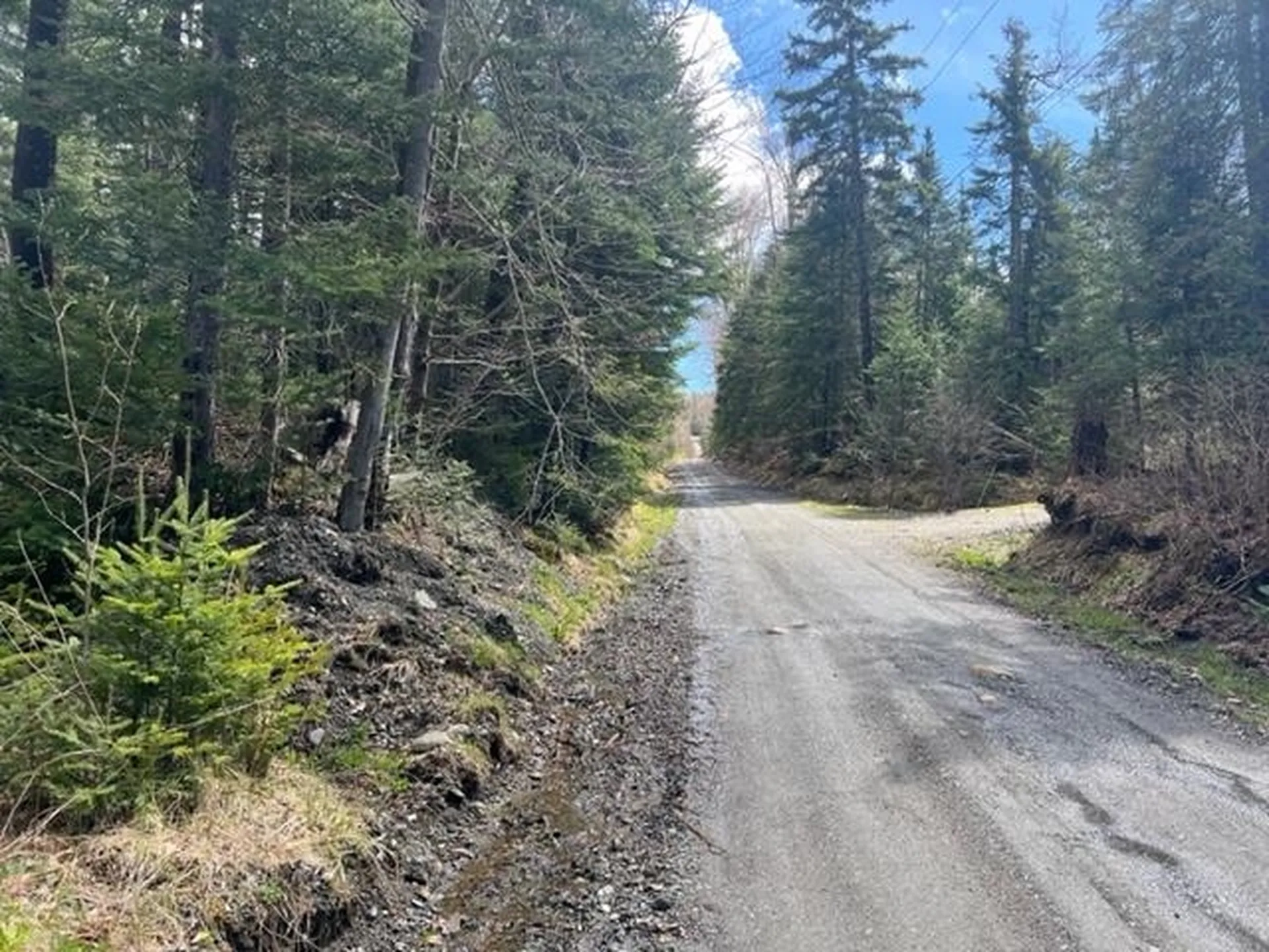 A5-49 Town Line Road Stewartstown NH 03576