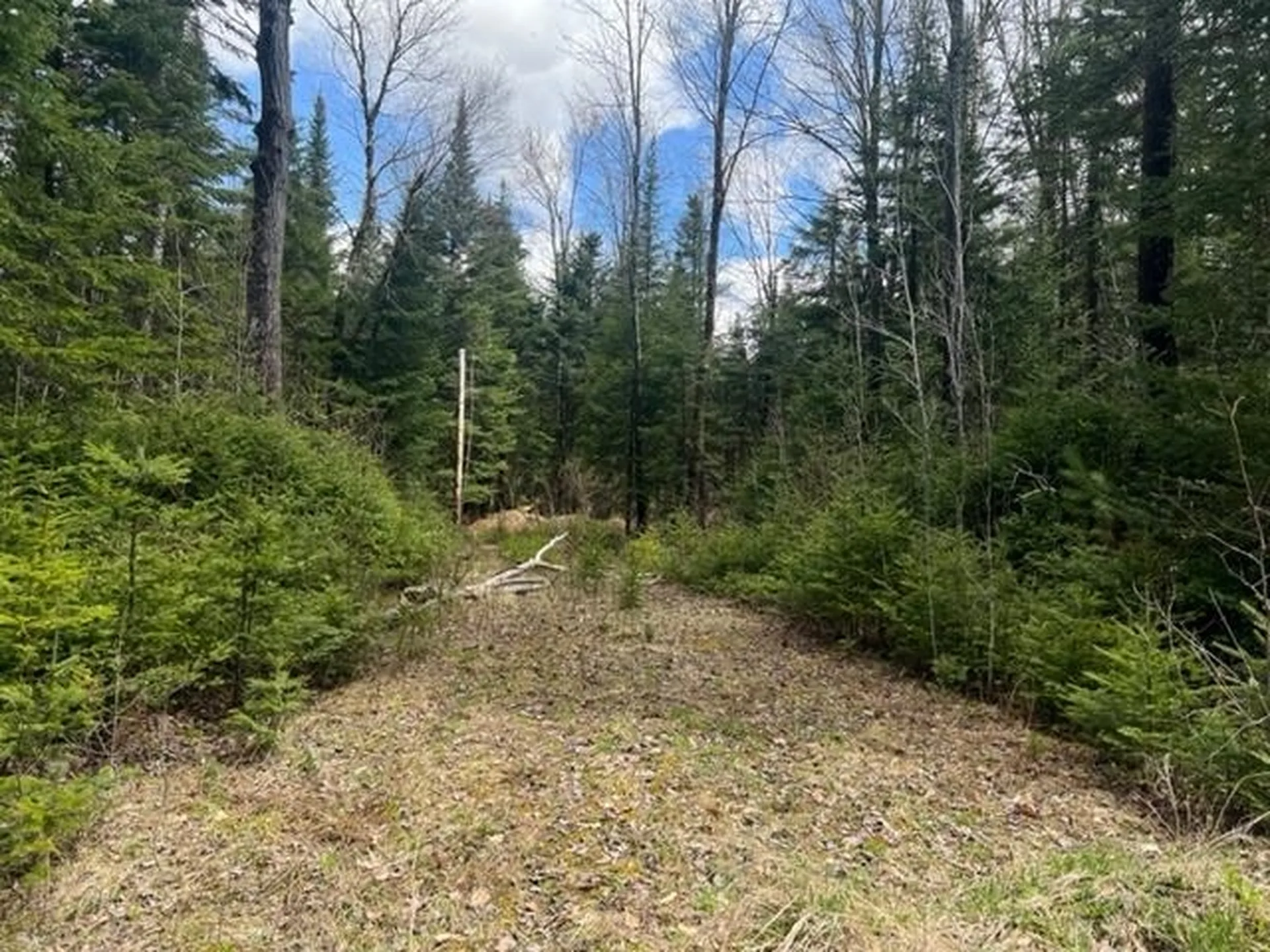 A5-49 Town Line Road Stewartstown NH 03576