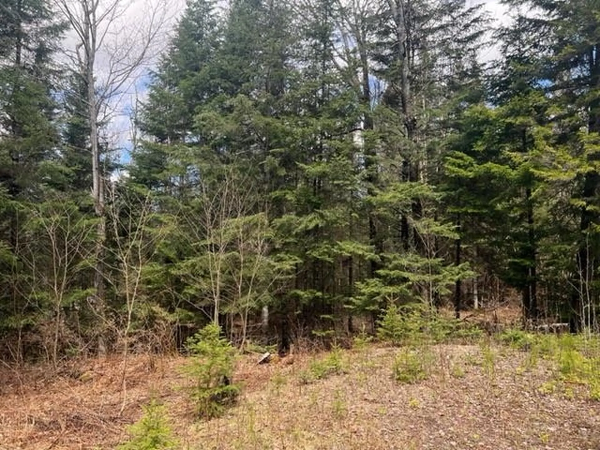 A5-49 Town Line Road Stewartstown NH 03576