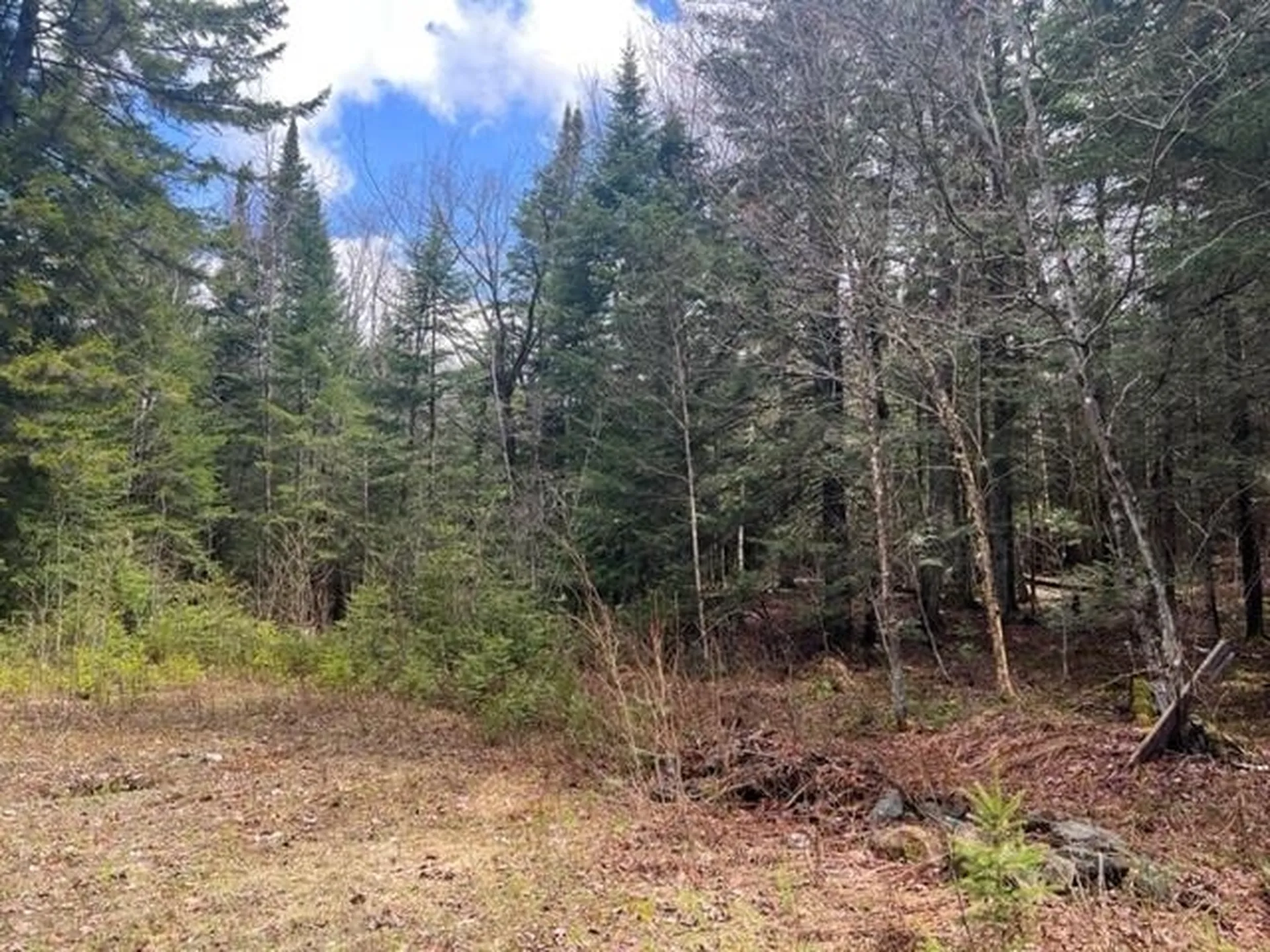 A5-49 Town Line Road Stewartstown NH 03576