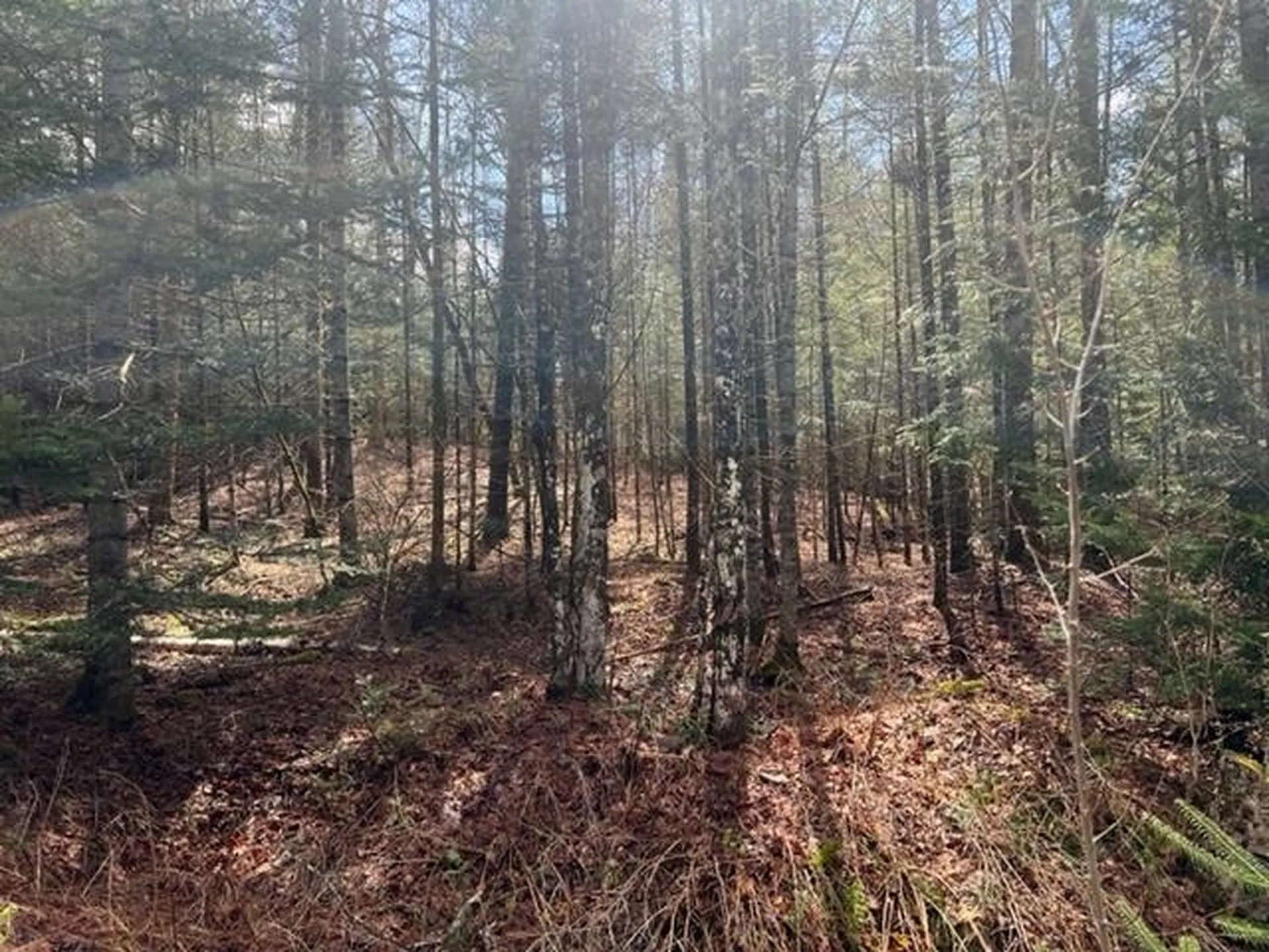 A5-49 Town Line Road Stewartstown NH 03576